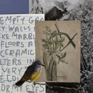 Image for 'strange bird'