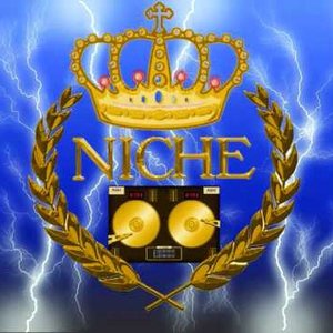 Immagine per 'Niche'