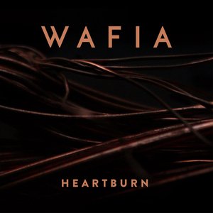 Image pour 'Heartburn'