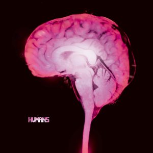 Bild für 'Brains'