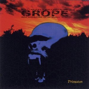 Image for 'Primates'