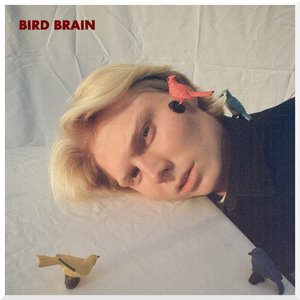 Imagen de 'bird brain'