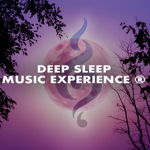 Image for 'Deep Sleep Music Experience'
