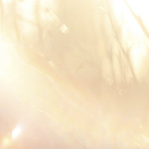 Image for 'zipasiziy'