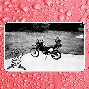 Image for 'Say I Won't'