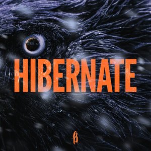 Immagine per 'Hibernate'