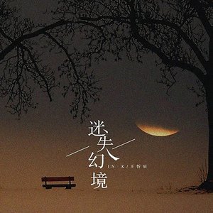 Image pour '迷失幻境'