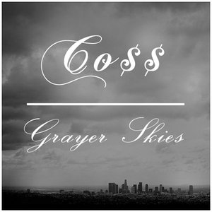 Image for 'Grayer Skies'