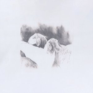 Image for 'Lavurn'