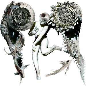 Image for 'Galatea'