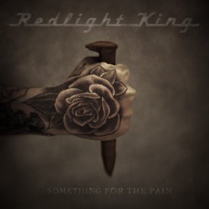 Bild für 'Something For The Pain'