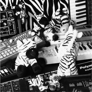 Image for 'Zebratronic'