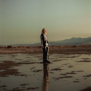 Immagine per 'Phoebe Bridgers'