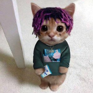 Immagine per 'Lil Uzi Vert'