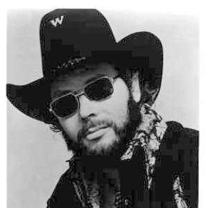 Immagine per 'Hank Williams, Jr.'