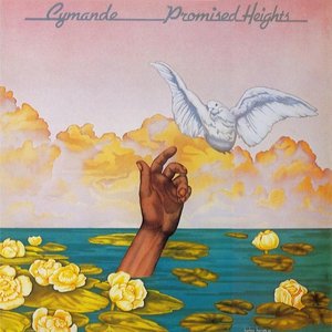 Bild für 'Promised Heights'