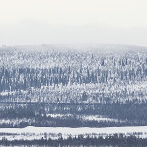Image for 'Malm'