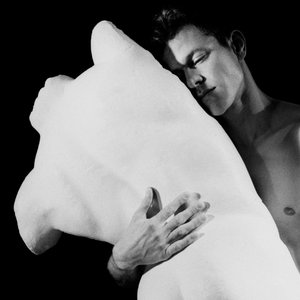 Imagem de 'Perfume Genius'