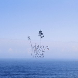 Image for 'wander into'