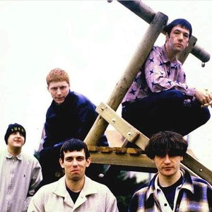 Immagine per 'Inspiral Carpets'