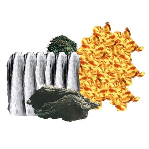 Image pour 'Wanderflower'