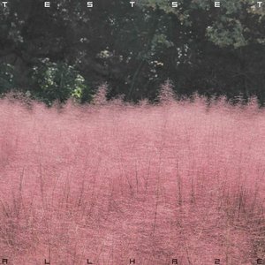 Image for 'ALL HAZE'