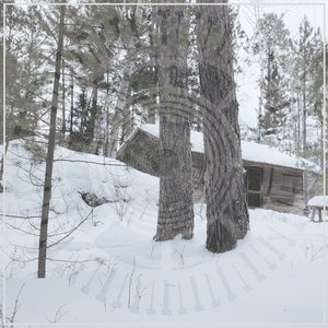 Image for 'The Scars of Man on the Once Nameless Wilderness, Pt. 1'