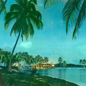 Image for 'Malaria'