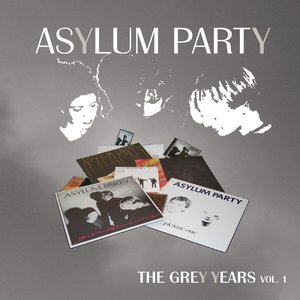 Image for 'The Grey Years, Volume 1'