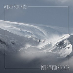 Image for 'Pure Wind Sounds'