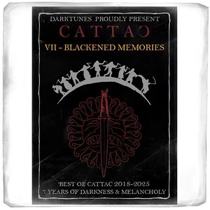Image for 'VII - Blackened Memories'