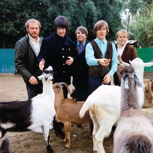 Image for 'The Beach Boys'