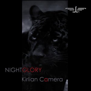 'Nightglory (Deluxe Edition)'の画像