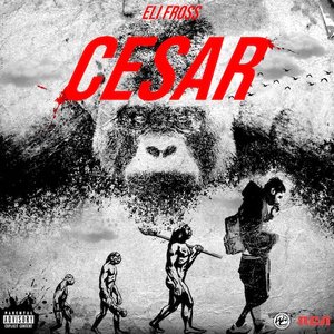 Image for 'CESAR'