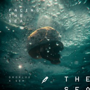 Image pour 'Facing The Sea'