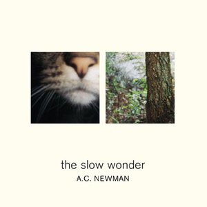 Image for 'The Slow Wonder'