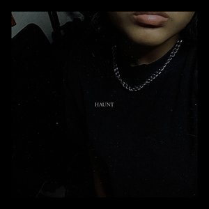 'HAUNT'の画像