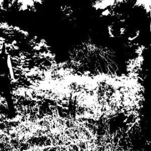 Image for 'El-Ahrairah'