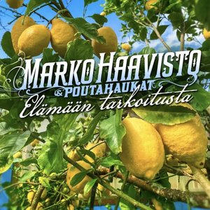 Immagine per 'Elämään tarkoitusta'