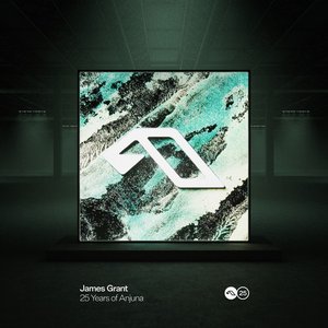 Image for '25 Years Of Anjuna Mixed By James Grant'