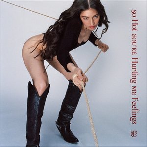 Image for 'So Hot You're Hurting My Feelings - Single'