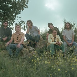 Image for 'King Gizzard & The Lizard Wizard'