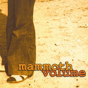 Image pour 'Mammoth Volume'