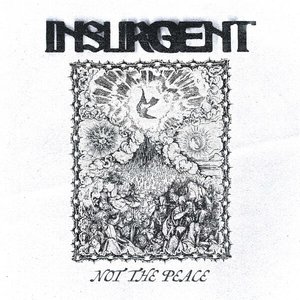 Bild für 'Not the Peace'