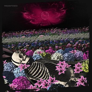 Image for 'Redefined'
