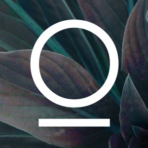 Image for 'Okami (Ọ)'