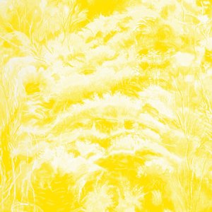 Image for 'In The Half Light (Instrumental)'