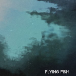 Image for 'Flying Fish'