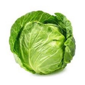 CabbageLuver69