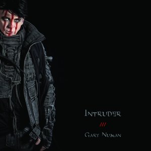 Immagine per 'intruder'
